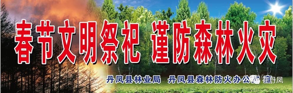 陕西丹凤寺坪最新规划，重塑历史底蕴与现代发展的融合典范